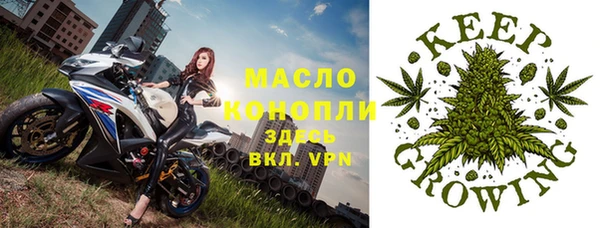 ПСИЛОЦИБИНОВЫЕ ГРИБЫ Покров