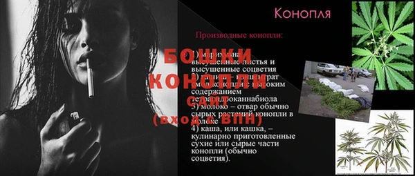 экстази Корсаков