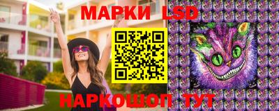 PSILOCYBIN Краснознаменск
