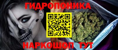 PSILOCYBIN Краснознаменск