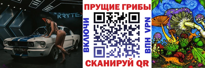 Галлюциногенные грибы мухоморы Карталы