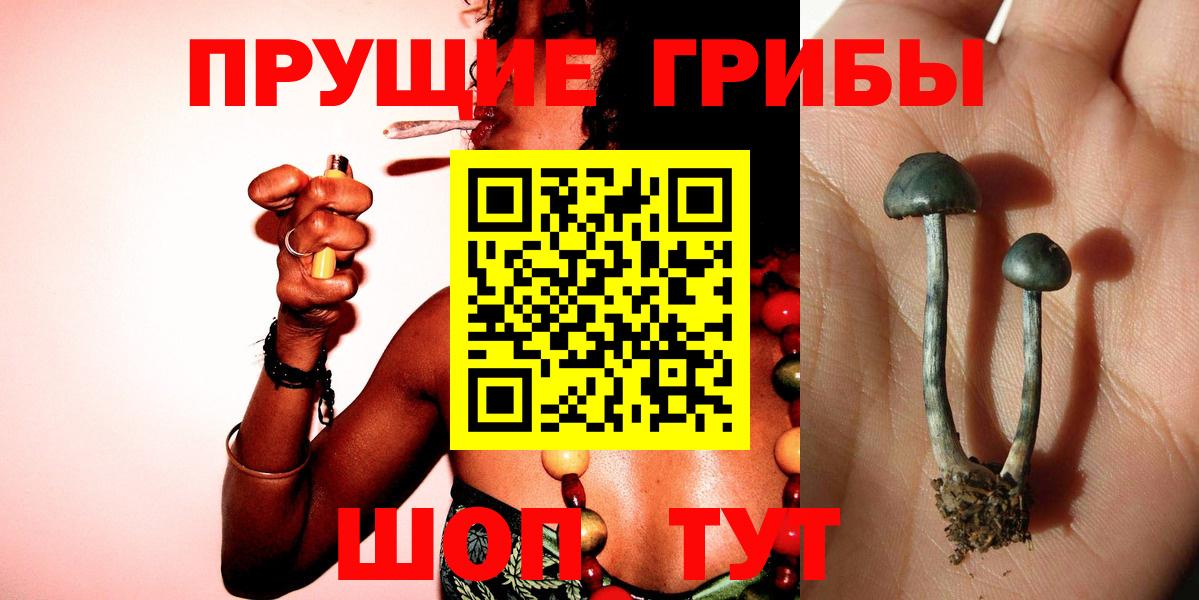 Псилоцибиновые грибы Cubensis Карталы