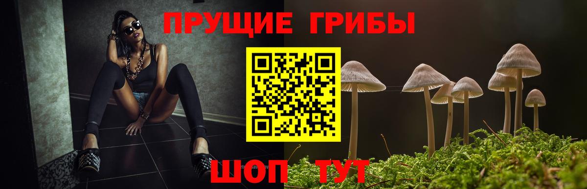 Карталы  Псилоцибиновые грибы прущие грибы  где продают наркотики  Галлюциногенные грибы Psilocybe  Вход с VPN 